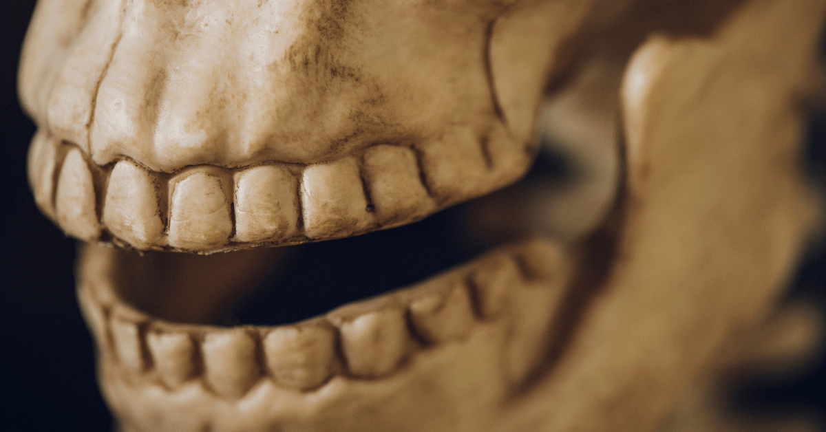 ARE TEETH BONES ? 10 Logical Questions Answered